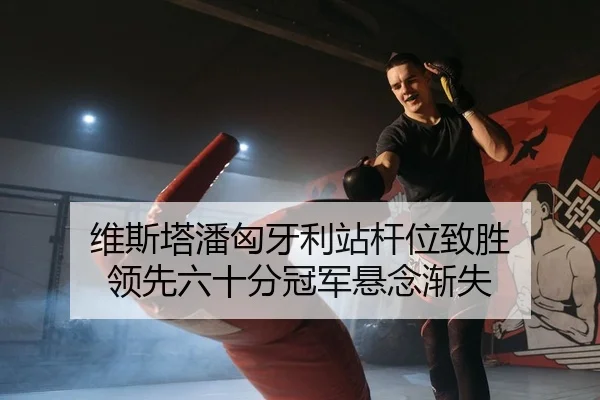 维斯塔潘匈牙利站杆位致胜 领先六十分冠军悬念渐失